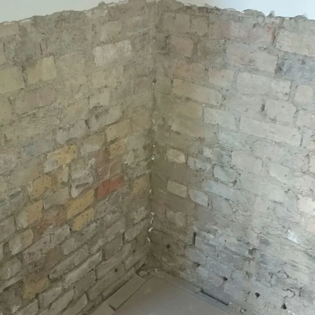 wall damp putney