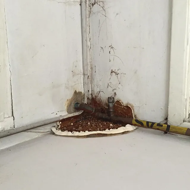 Damp mould waterproofing